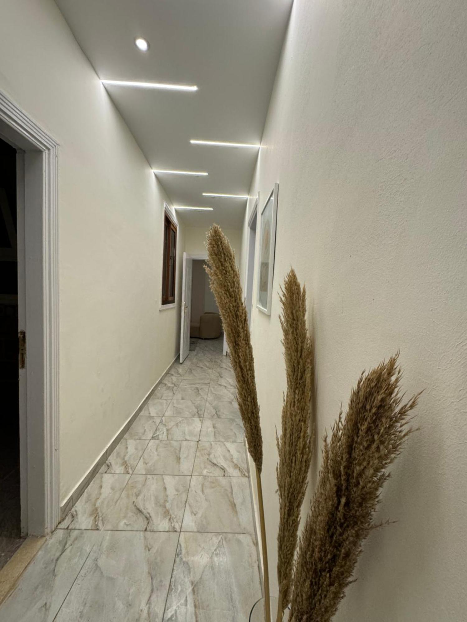 Hotel Alex -